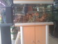Aquario + movel