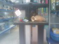 Aquario + movel